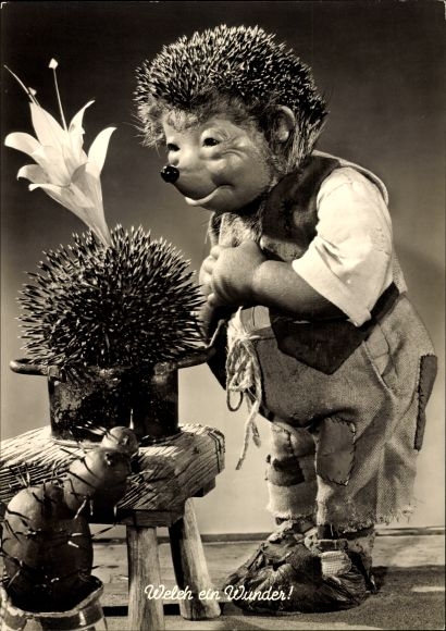 Postcard Mecki the hedgehog, what a miracle, blooming cactus