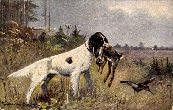 Artist Postcard Müller, hunting dog with killed hare, bird