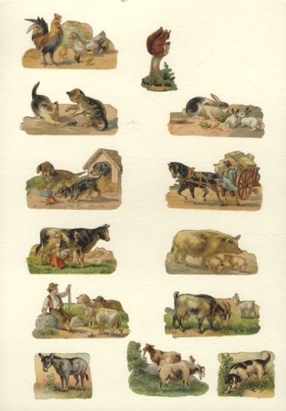 13 wafers animals from the farm, approx. 4.5 x 7 cm to 4.5 x 3 cm and 3.5 x 4 cm