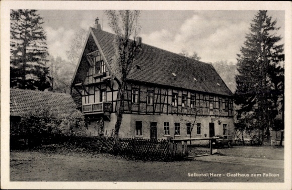 Ak Falkenstein in de Harz, Selketal, Gasthof zum Falken