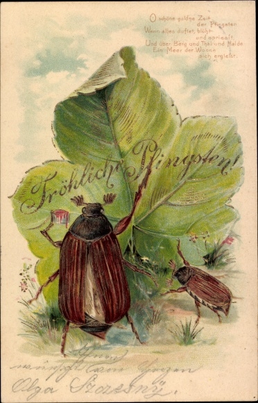 Embossed Glitter Chromo-Litho Congratulations Pentecost, may beetles paint a leaf