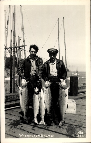Photo Postcard Washington State USA, Washington Salmon, fisherman with salmon