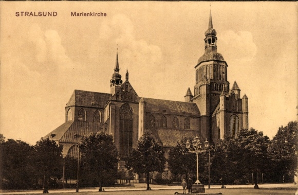 Ak Stralsund in Vorpommern, Marienkirche,  Architektur, Bäume im Vordergrund