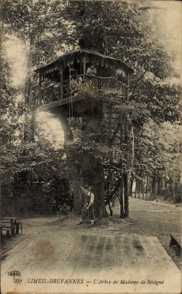 KP Limeil Brévannes Val de Marne, L'Arbre de Madame de Sevigne
