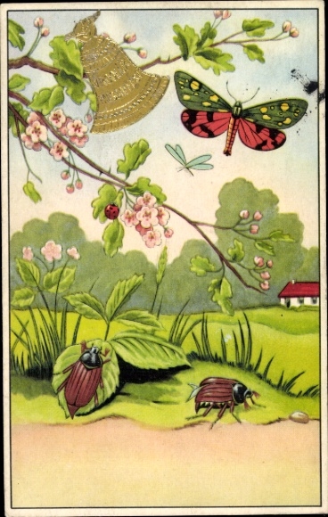 Postcard May beetle, butterfly, flowering branches