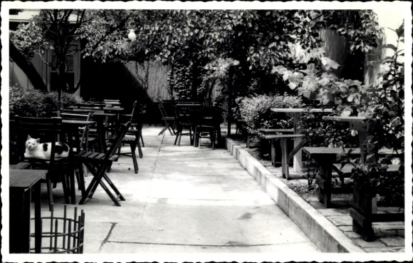Ak Wien 9 Alsergrund Österreich, Gartenrestaurant, leere Terrassenmöbel, Katze auf dem Stuhl