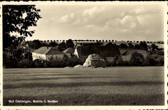 Ak Mohlis bei Meißen Sachsen, Landschaft mit Gut Oehmigen, Wiese, Bäume, Häuser im Hintergrund
