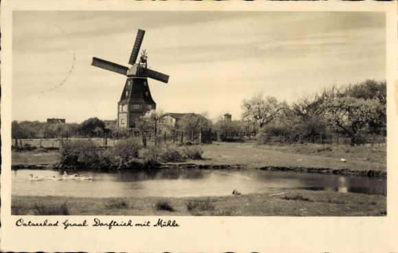 Ak Ostseebad Graal Müritz, Dorfteich, Mühle
