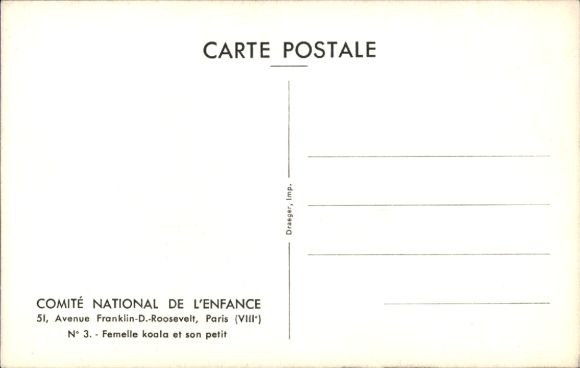 Postcard Paris, Femelle koala et son petit, Koala bears
