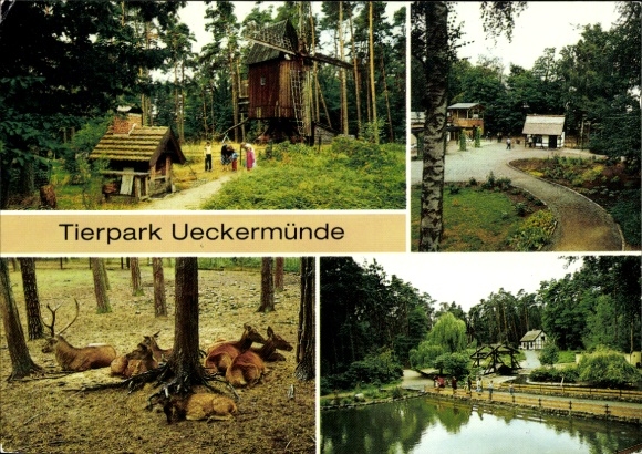 KP Ueckermünde na Pomorzu Zachodnim, ogród zoologiczny, wiatrak