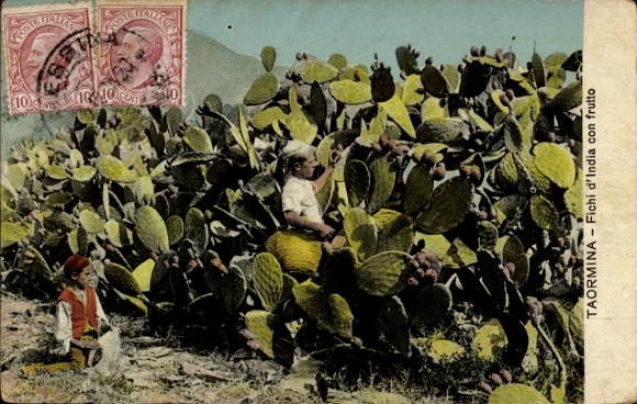 Ak Taormina Sicilia, Fichi d'India con frutto