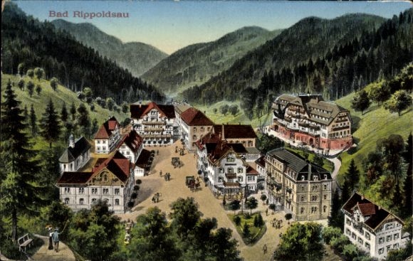 Ak Bad Rippoldsau Schapbach im Schwarzwald,  kolorierte Ansicht des Ortes mit Gebäuden, Wald u...