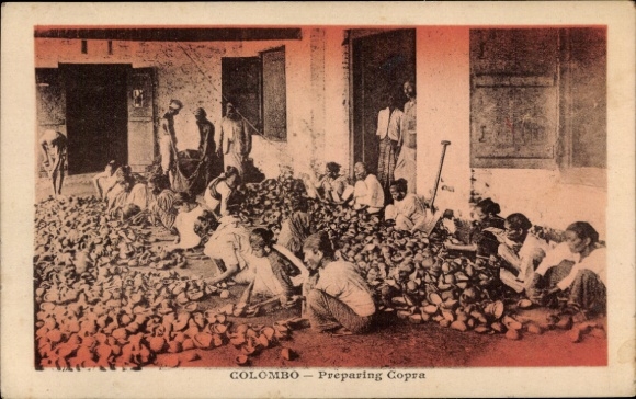 PC Colombo Ceylon Sri Lanka, Preparing Copra