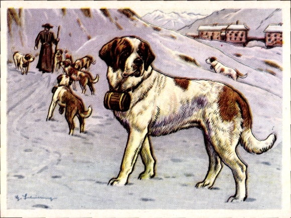 Collector's Single Image Austria Bildwerk Comrade Dog Series I Image 14, The St. Bernard