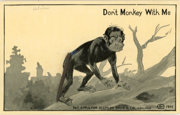 Mechanical Postcard monkey on the tree, monkey tail