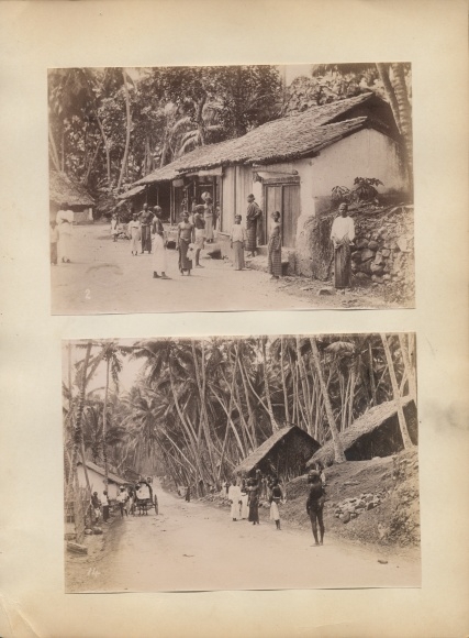 Photo Colombo Ceylon Sri Lanka, local people, street area, palm trees, village area