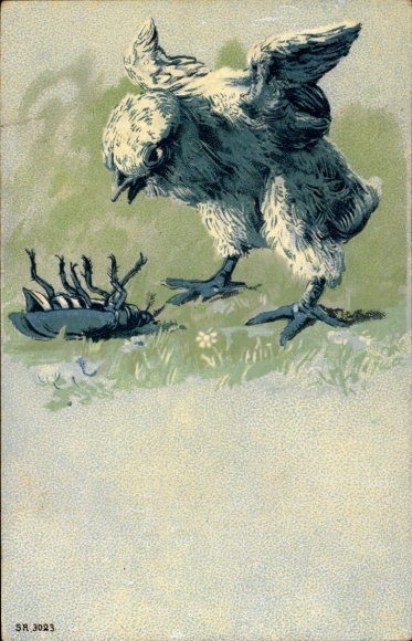 Artist Postcard Chick with May Beetle