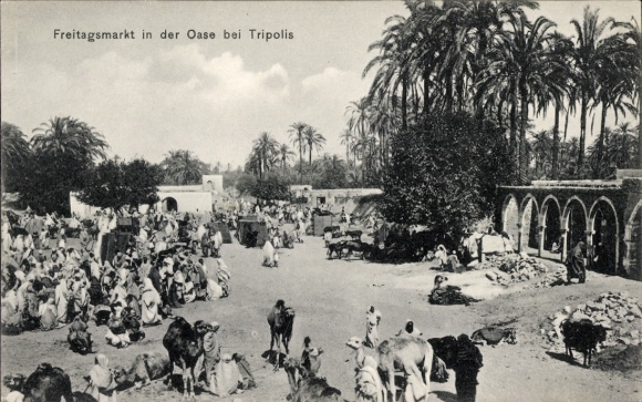 Ak Tripolis Libyen, Freitagsmarkt in der Oase, Kamele