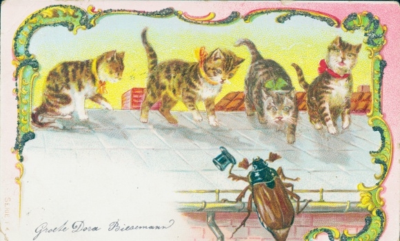 Passepartout PC cats, may bugs, glitter