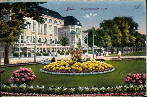Postcard Poppelsdorf Bonn am Rhein, Poppelsdorfer Allee, flowerbed, building