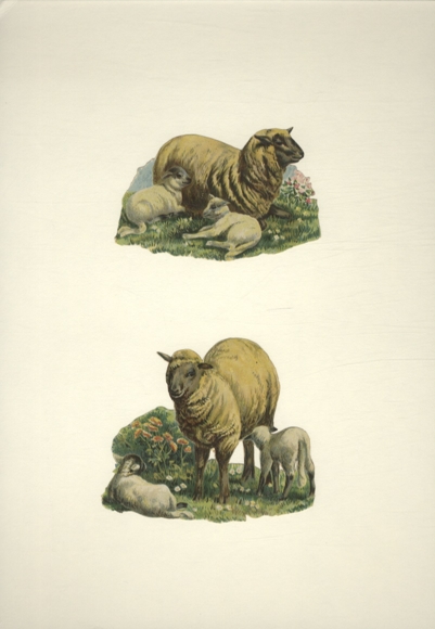 2 Oblaten Schafe und Lämmer, Größe je ca. 6,5 / 8,5 x 10 cm