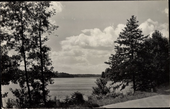 Postcard Werbellinsee Schorfheide Barnim, Seeufer-Strasse