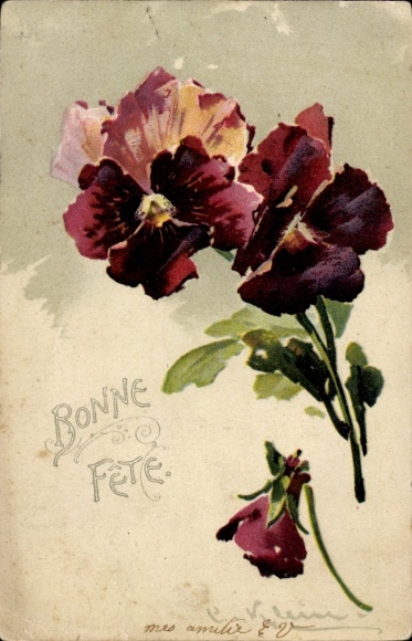 Artist embossed Postcard Klein, Catharina, congratulations, pansies, Bonne Fete