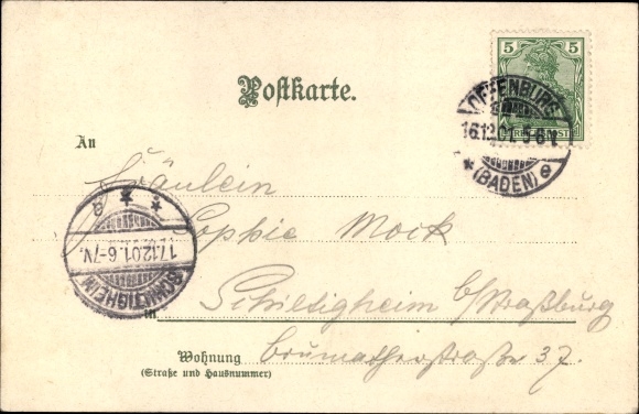 Artist Chromo-Litho Münch, C., Offenburg in the Black Forest, Ortenberg Castle, town hall, total view