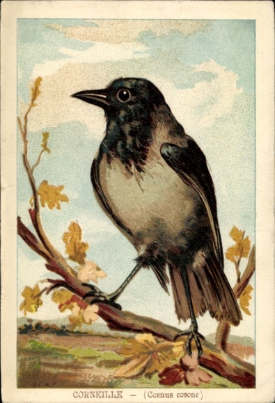 Artist Postcard Corneille, Carrion Crow