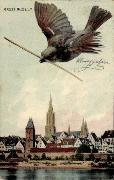 Postcard Ulm an der Donau, Münster, Ulmer Spatz