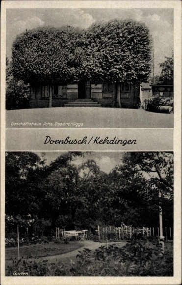 PC Dornbusch Kehdingen Drochtersen in the district of Stade, commercial building in Ossenbrügge, garden