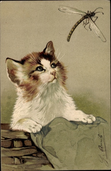 Embossed Postcard cat with dragonfly, PFB 2285