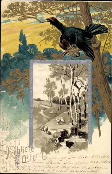 Präge Litho Glückwunsch Ostern, Auerhahn, Birken, Schafe
