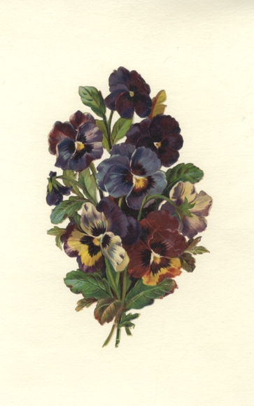Oblate Stiefmütterchenstrauß, Größe ca. 21 x 12 cm