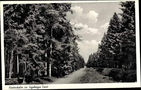 PC Hartenholm Schleswig Holstein, lot in the Segeberger forest