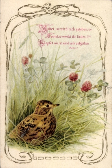 Ak Vogel, Bittet, so wird euch gegeben, Suchet so werdet ihr finden
