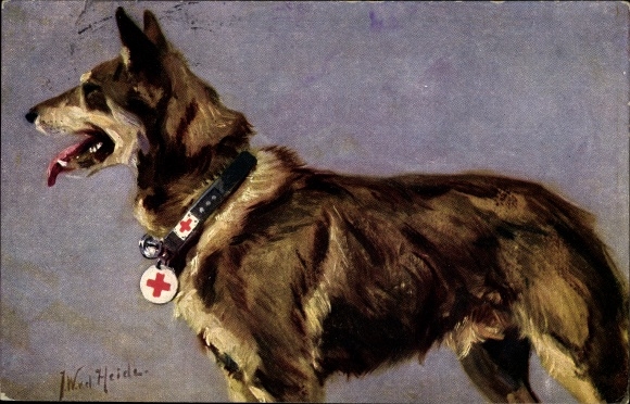 Kunstenaarskaart Heide, JW von der, De doktershond in het veld, Rode Kruis, Duitse herdershond
