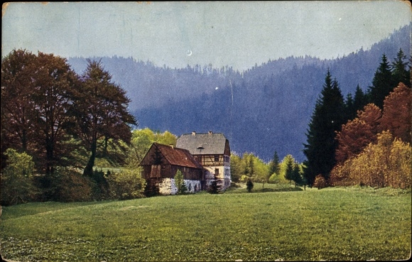 Ak Rübenau Marienberg in het Ertsgebergte van Saksen, Panorama Natzschungtal