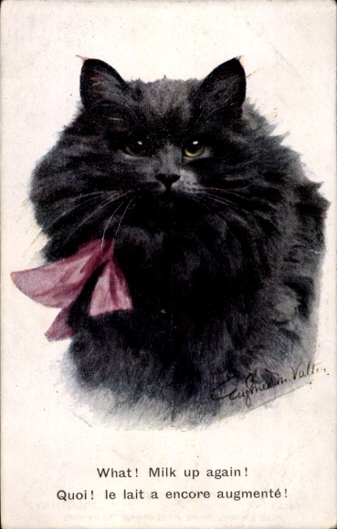 Artysta KP Valter, Eugenie, Czarny kot z obrożą, Portret
