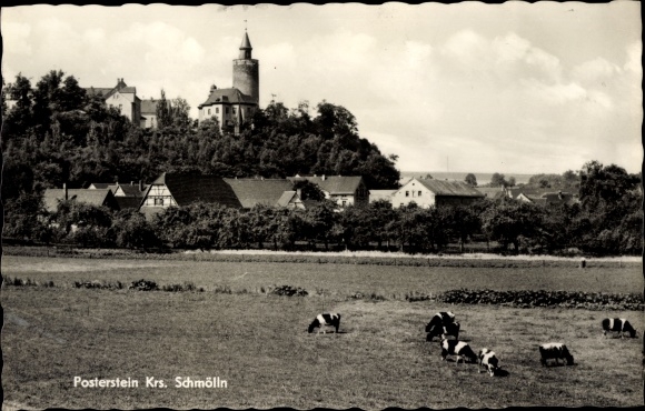Postcard Posterstein in Altenburger Land, Posterstein Castle, town view, grazing cows