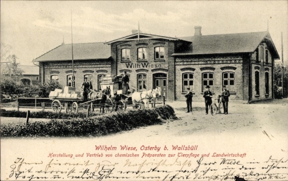 Ak Osterby in Schleswig Holstein, Herstellung von chemischen Präparaten zur Tierpflege Wilhelm Wiese