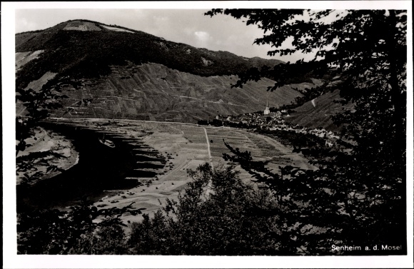 Ak Senheim an der Mosel, Panorama