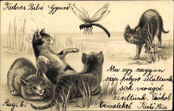 Artist Postcard Four cats observe a dragonfly