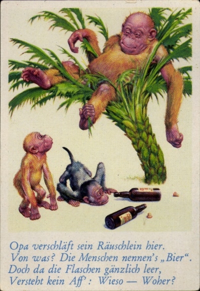 Collector's picture funny pictures no. 50, drunk orangutan on a palm tree