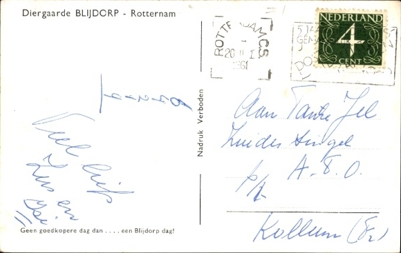 Postcard kangaroo with young animal