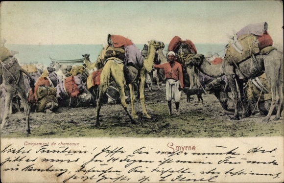 Postcard Smyrna Izmir Türkiye, resting place of a caravan, camels