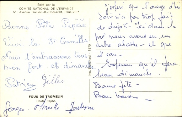 Postcard bird's nest, seagulls, young animals