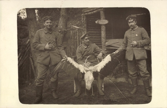 Photo Postcard German soldiers in uniform, portrait, stork, dugout 1916