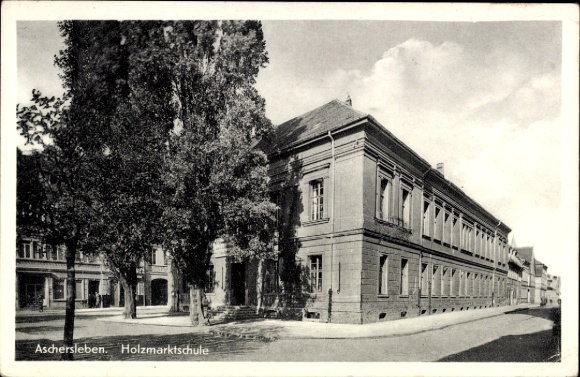 Ak Aschersleben im Salzlandkreis, Holzmarktschule,  Architektur, Straßenansicht, Bäume