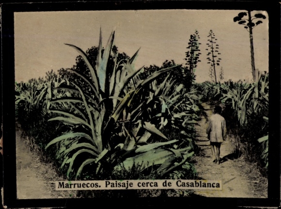 Photo Morocco, Marokko, Landscape near Casablanca